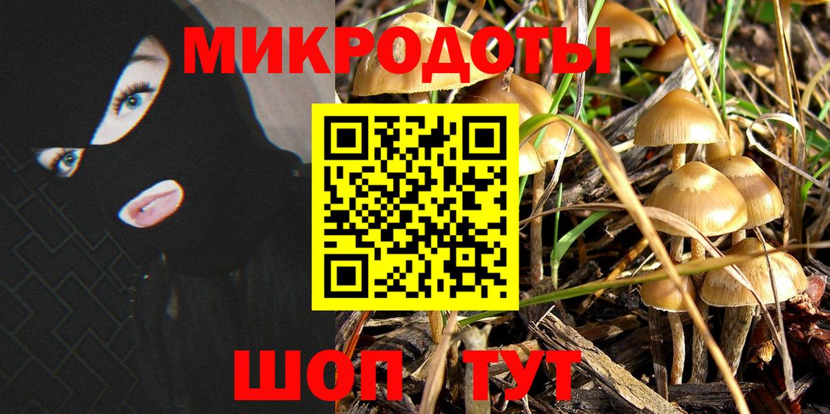 Курганинск  Галлюциногенные грибы Cubensis  Вход с VPN 