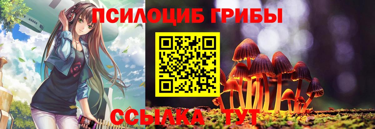 Псилоцибиновые грибы Magic Shrooms Курганинск